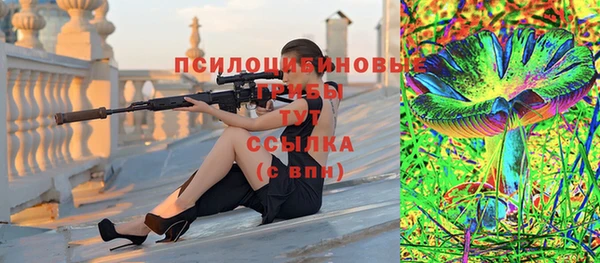 гидропоника Медвежьегорск