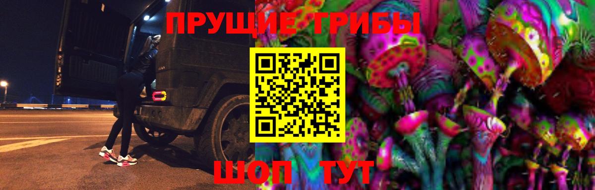 Псилоцибиновые грибы мицелий Люберцы